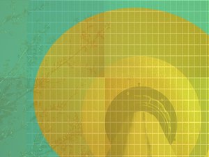 察哈爾右翼前旗窗口加固有限責任公司